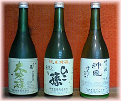 神亀その2
