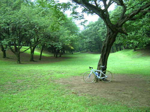 稲荷山公園