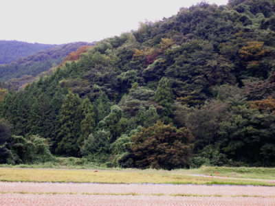 練習コース:里山ルート