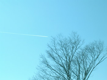 冬の飛行機雲