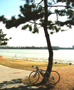 葛西臨海公園から望むディズニーランド