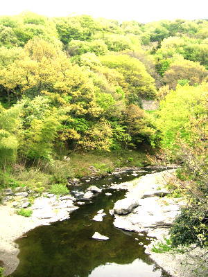 若葉萌える峠道