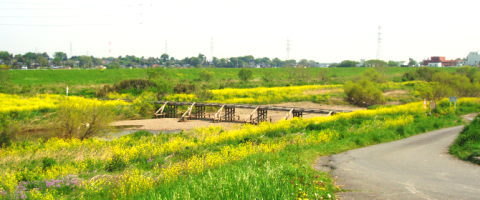 冠水橋も春の色