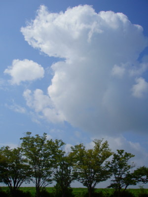 夏空