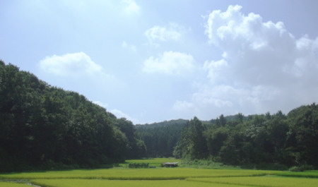 夏日 復活