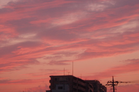 明日も晴れ