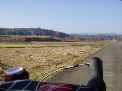 今日も良い天気