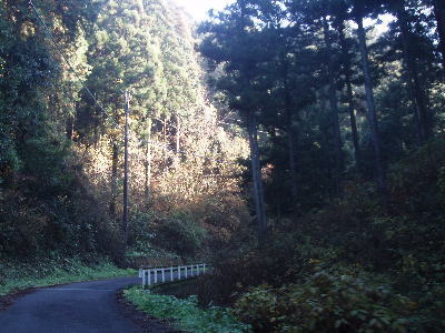 まだ登る