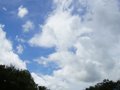 きわどい夏空