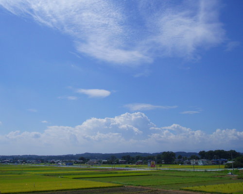 空が高い